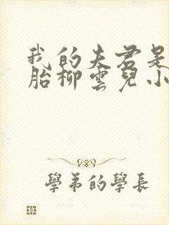 我的夫君是双胞胎柳云儿小说全文