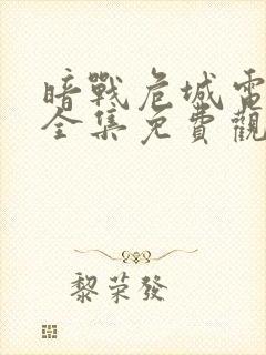 暗战危城电视剧全集免费观看