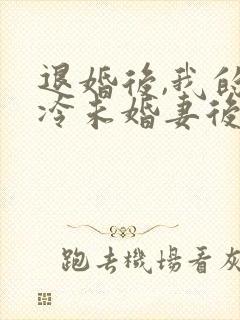 退婚后,我的高冷未婚妻后悔了章节