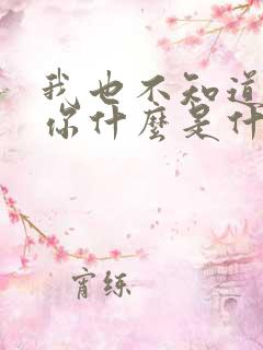 我也不知道我爱你什么是什么歌