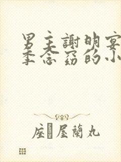 男主谢明宴女主季念窈的小说