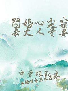 闪婚心尖宠:首长大人爱妻如命