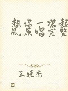 想你一次起一阵风原唱完整版歌词