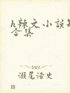 h辣文小说短篇合集