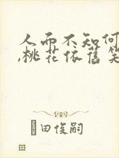 人面不知何处去,桃花依旧笑春风的意思