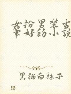 女扮男装古言文笔好的小说推荐