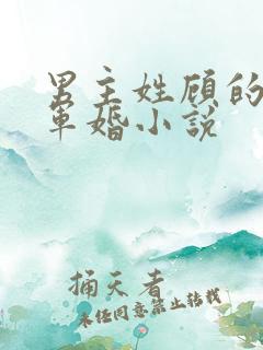 男主姓顾的所有军婚小说