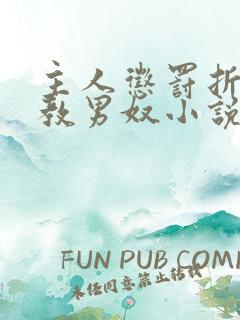 主人惩罚折磨调教男奴小说