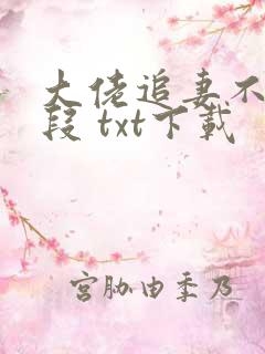 大佬追妻不择手段 txt下载