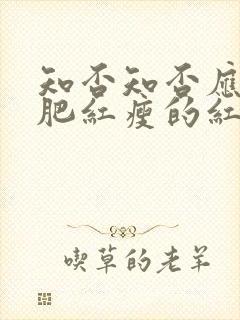 知否知否应是绿肥红瘦的红是什么花