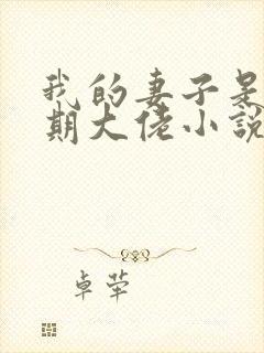 我的妻子是大乘期大佬小说完整版大结局