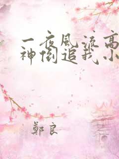 一夜风流高冷女神倒追我小说免费阅读无弹窗