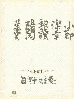 叶阳黎洁小说免费阅读章节最新