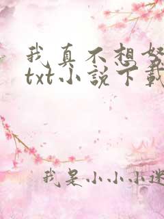 我真不想努力了txt小说下载