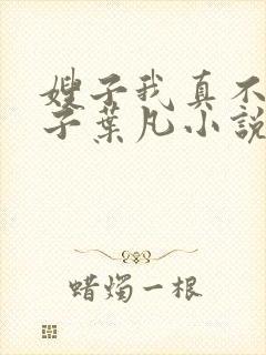 嫂子我真不是傻子叶凡小说全文免费阅读