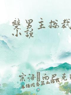 双男主总裁生子小说