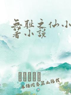 无耻之仙小说原著小说