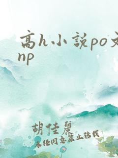 高h小说po文np