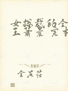 女总裁的全能兵王萧晨 完本