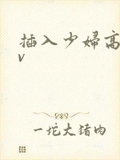 插入少妇高潮av