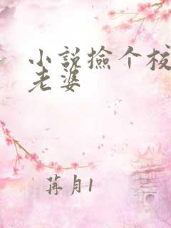 小说捡个校花做老婆