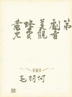 黄蜂美剧第一季免费观看