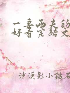 一妻两夫的小说好看完结文