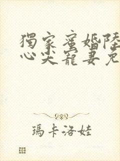 独家蜜婚陆少的心尖宠妻免费阅读