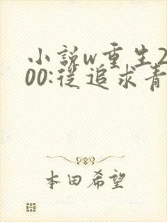 小说w重生2000:从追求青涩校花同桌开始》