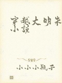 穿越大明朱雄英小说