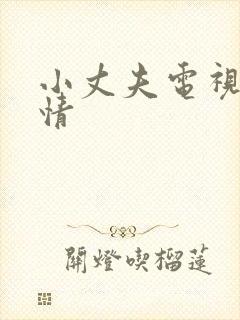 小丈夫电视剧剧情