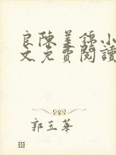 良陈美锦小说全文免费阅读无弹窗