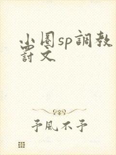 小圈sp调教惩罚文