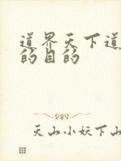 道界天下道无名的目的