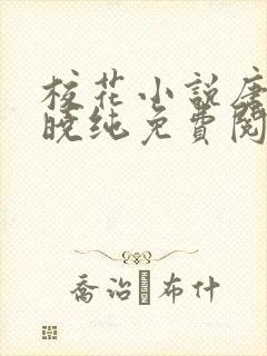 校花小说唐臣宋晓纯免费阅读