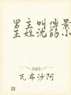 男主叫傅景琛女主姓沈的小说