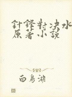 针锋对决水千丞原著小说