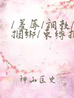 /羞辱/调教/捆绑/束缚折磨