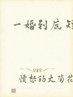 一婚到底 短剧