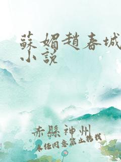 苏媚赵春城原著小说