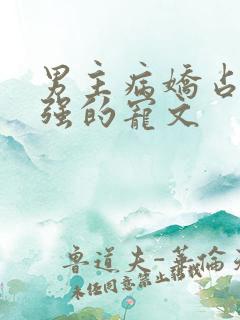 男主病娇占有欲强的宠文