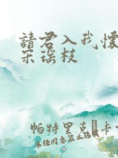 请君入我怀原著宋瑶枝