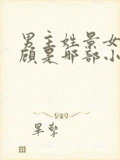 男主姓景女主姓顾是哪部小说