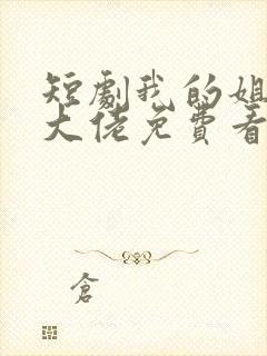 短剧我的姐姐是大佬免费看