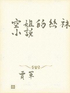 空姐的丝袜美腿小说