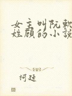女主叫阮软男主姓顾的小说