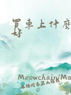 买车上什么网站好