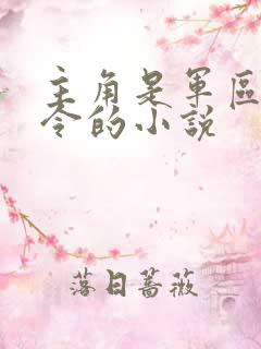 主角是军区总司令的小说