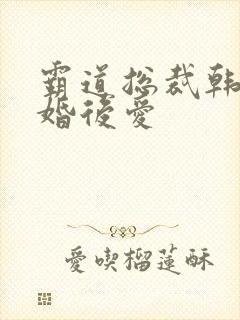 霸道总裁韩剧先婚后爱