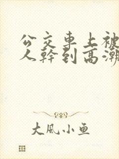 公交车上被陌生人干到高潮